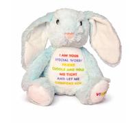Silly Dog Designs - Personalised Worry Friend Bunny Plush Toy - Custom Name Soft Comfort Bunny - Anxiety & Emotional Support Teddy for Children - Thoughtful Keepsake Gift (Blue)