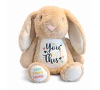 Silly Dog Designs -You Got This Bunny Plush - Personalised or Standard Soft Toy - Comfort Teddy Gift for Kids, Teens - Exams, Get Well Soon (Pink, Brown, White) (Brown Personalised)