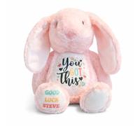 Silly Dog Designs -You Got This Bunny Plush - Personalised or Standard Soft Toy - Comfort Teddy Gift for Kids, Teens - Exams, Get Well Soon (Pink, Brown, White) (Pink Personalised)