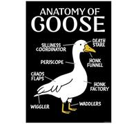 Silly Goose Anatomy Of A Goose Mini Poster