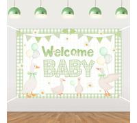 Silly Goose Baby Shower Backdrop Green Gingham 5x3ft