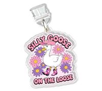 Silly Goose Charms for Kindle for Phone, Dust Plug Charm 1.5 Inches Cute Goose Funny Animal Lightning/Type C Charging Port Acrylic Material Accessories for E-Reader Gifts, Type C, Acrylic, No Gemstone