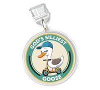 Silly Goose Charms for Kindle for Phone, Dust Plug Charm 1.5 Inches Cute Goose Funny Animal Lightning/Type C Charging Port Acrylic Material Accessories for E-Reader Gifts, Type C, Acrylic, No Gemstone
