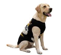 Silly Goose Dog Cooling Vest Summer Shirts Cute Pullover Pet Clothes for Large Puppy