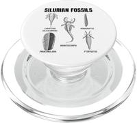 Silurian Fossils - Ancient Marine Life Collection PopSockets PopGrip for MagSafe