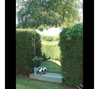 Silver Acrylic Rectangular Outdoor Garden Wall Mirror 90cm x 44cm Primrose Silver One Size