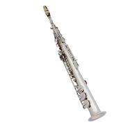 Silver Alto Saxophone Professional Woodwind Instrument in B flat Brass Straight Tube with Case Beginner Saxophone
