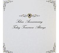 Silver Anniversary - Quality Handmade Anniversary Card - AG37