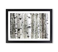 Silver Birch Tree Forest Framed Print | A2 Black Framed Wall Art | Ready to Hang | Modern Floral Picture | Living Room Bedroom Lounge Office