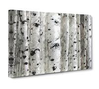 Silver Birch Tree Forest Modern Art Canvas Wall Art Print Ready to Hang, Framed Picture for Living Room Bedroom Home Office Décor, 30x20 Inch (76x50 cm)