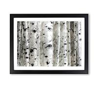 Silver Birch Tree Forest Modern Art Framed Print | A3 Black Framed Wall Art | Ready to Hang | Modern Floral Picture | Living Room Bedroom Lounge Office