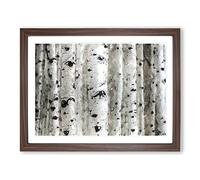 Silver Birch Tree Forest Modern Art Framed Wall Art Print, Ready to Hang Picture for Living Room Bedroom Home Office Décor, Walnut A4 (34 x 25 cm)