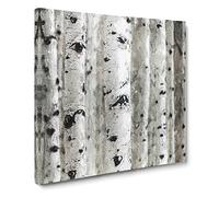 Silver Birch Tree Forest Modern Canvas Wall Art Print Ready to Hang, Framed Picture for Living Room Bedroom Home Office Décor, 14x14 Inch (35x35 cm)
