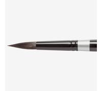 Silver Brush : Black Velvet : Squirrel & Risslon Brush : Series 3000S : Round : Size 16