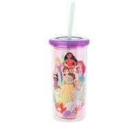 Silver Buffalo Disney Princess Fun and Bold Group Floral Plastic Tall Cold Cup w/Lid and Straw, 20 Ounces