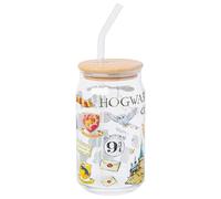 Silver Buffalo Harry Potter Hogwarts Platform 9 3/4 Gryffindor Hedwig Glass Jar Tumbler with Bamboo Lid and Glass Straw, 16 Ounces