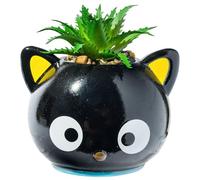 Silver Buffalo Mini Ceramic Planter, Black/Multi