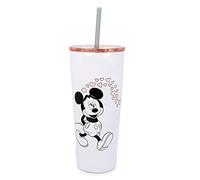 Silver Buffalo Minnie & Mickey Blowing Kiss Hearts Double Walled Stainless Steel Tumbler w Straw, 22-Ounces, 1 Count (Pack of 1)