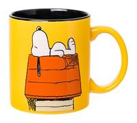 Silver Buffalo Peanuts Halloween Snoopy Trick Or Treat Spider Webs Ceramic Mug, 20 Ounces