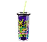Silver Buffalo Teenage Mutant Ninja Turtles TMNT Featuring Leonardo, Raphael, Donatello, and Michelangelo Plastic Tall Cold Cup with Lid and Straw, 20 Ounces