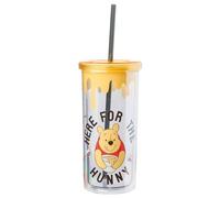 Silver Buffalo Winnie the Pooh Here for Hunny Plastic Tall Cold Cup with Lid and Straw, 20 Ounces