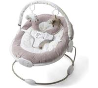 Silver Cloud Counting Sheep Bouncer