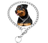 Silver Dog Chain Collar, Heavy Duty Dog Necklace, for Training, Chew Proof Martingale Puppy Dog Chains for XXS XS Small Medium Large Big Dogs