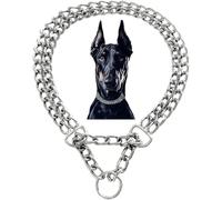 Silver Dog Chain Collar Metal Martingale Anti Chew Training Collars Chew Proof, Chrome Plated, Double Link for Small Medium Large Dogs (Silver, L(for Dog Neck 20-25''))
