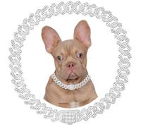 Silver Dog Chain Collars Bling Diamond Cuban Link Puppy Collar With Secure Buckle Walking Metal Chain Necklace Crystal Jewelry Cat Collars for Small Medium Large Pet Dogs Boys Girls, 20 Inch