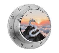 Silver Dragon Circling Kitchen Timer 60 Minute Visual Wind Up Timers Indoor Mechanical Timers with Magnetic Base Stainless Steel Timer for Home Cooking Time Management Tool