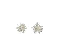 Silver Fireworks Earrings Exquisite and Sparkling 925 Silver Needles Versatile and Stylish Decoration
