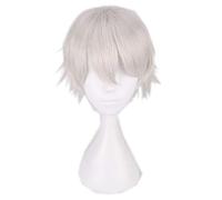 Silver grey short cosplay hair wig for Men Natural Hair 30cm Heat Resistant gray Synthetic Hair cosplay Wigs for party common wig K049-02