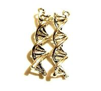 Silver Knight 8 x Large DNA Charms Double Helix Charms 40mm Genetics Geek Nerd Pendants Scientific Beads
