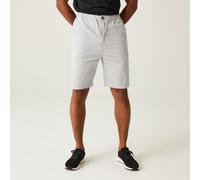 Silver male 32 Regatta Men's Aldan Casual Chino Shorts Silver, Size: 32