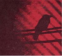 Thee Silver Mt Zion Memorial Orchestra - Born Into Trouble As The Sparks Fly Upward [VINYL]