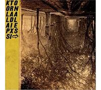Silver Mt. Zion - Kollaps Tradixionales