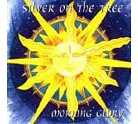 Silver on the Tree - Morning Glory