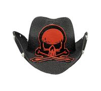 (Silver, One size) Vintage Cowboy Hat Western Style Large Embroidery Skull Brim Hat Straw Weaving Cowboy Hat Accessory For Summer Sunproof Silver