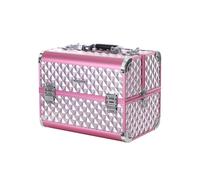 Silver Pink Cosmetic Case