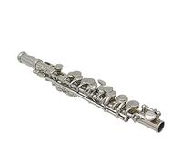 Silver Plated C Piccolo Improves Performance for Musicians PU Leather Box Cleaning Tool Set Musicians (Silver),Flute, Xiao