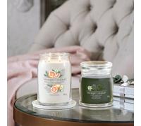 Silver Sage and Pine