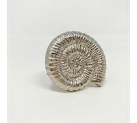 Silver Sea-Life Marine Nautical Drawer Knobs, Bathroom, Cupboards, Dresser, Cabinet (6. Large Shell)