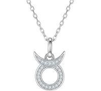 Silver Shining Necklaces Necklace Twelve Constellations Moissanite Inlay Necklace Dainty 12 Pendant Necklace for Women