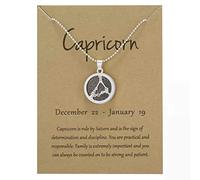 Silver Star Sign Coin Constellation Pendant Chain Necklace - Night - Capricorn (22nd December - 19th January) - Zodiac Horoscope Celestial Astrology Jewellery - Women Men Gift