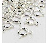 Silver Tone Brass Spring Ring Clasps (20Pk)