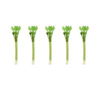 Silver Vine Stick Cats Dental Care Teeth Tubes Indoor Matatabi Catnips Treat Matathabika Nip Street