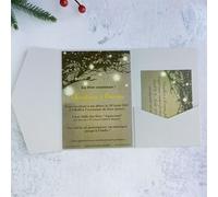 Silver Wedding Invitation Card Pocket Folders With Envelopes For Marriage Bridal Shower Birthday Graduation 20 sets (Silver)
