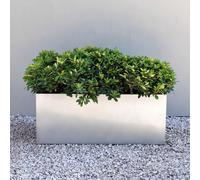 Primrose Zinc Galvanised Planter Rectangular Silver Outdoor Trough Planters XL 100cm x 40cm (39in x 15.7in)