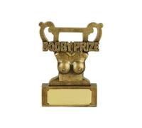 SilverTrophy: Booby Prize Funny Humorous Golf Prize, Novelty, Terrible Performance, Worthless, Joke, In the Sand, Loser, Silly, Idiot, Golf Prize, Golf Loser Affordable Prize