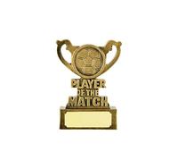 SilverTrophy: Football Player of the Match Gold Award - Ideal for Competitions, Tournaments, Events, Winners, Champions, Best Player, Achievement, Kids Party, Sunday League Engraving Plate
